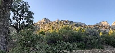 Dentelles de Montmirail 9 novembre 2019 Dentelles de Montmirail 9 novembre 2019